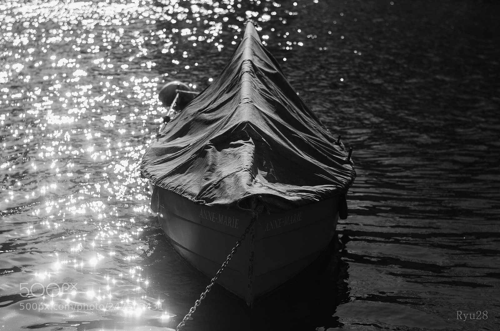 Nikon D5100 sample photo. Boat photography