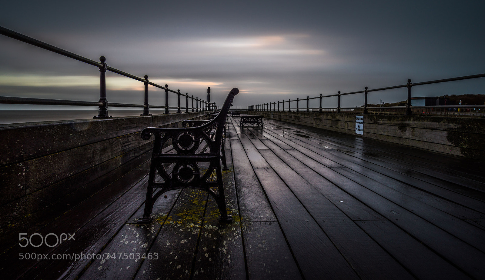 Nikon D810 sample photo. Slow wet walk photography