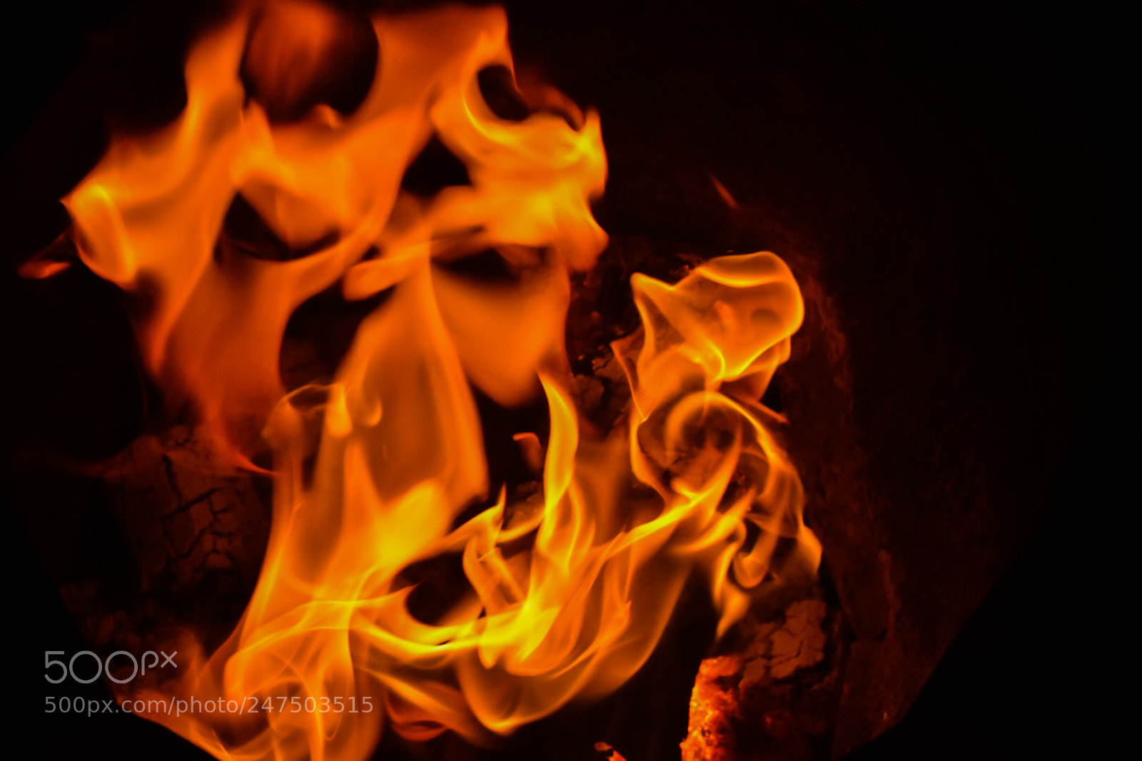 Nikon D7200 sample photo. Untitled photography