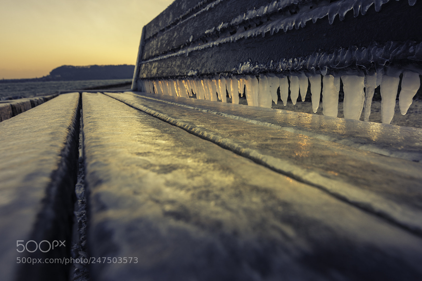 Nikon D7100 sample photo. Bench photography
