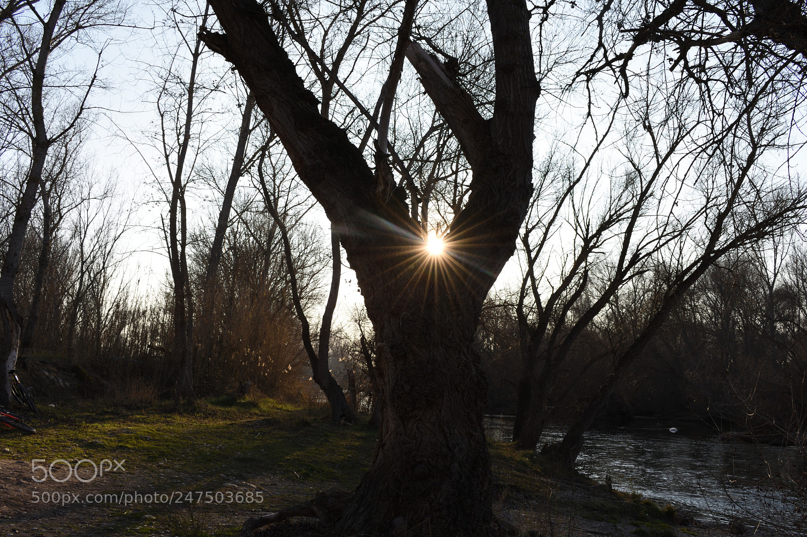 Nikon D3400 sample photo. Light trough life photography