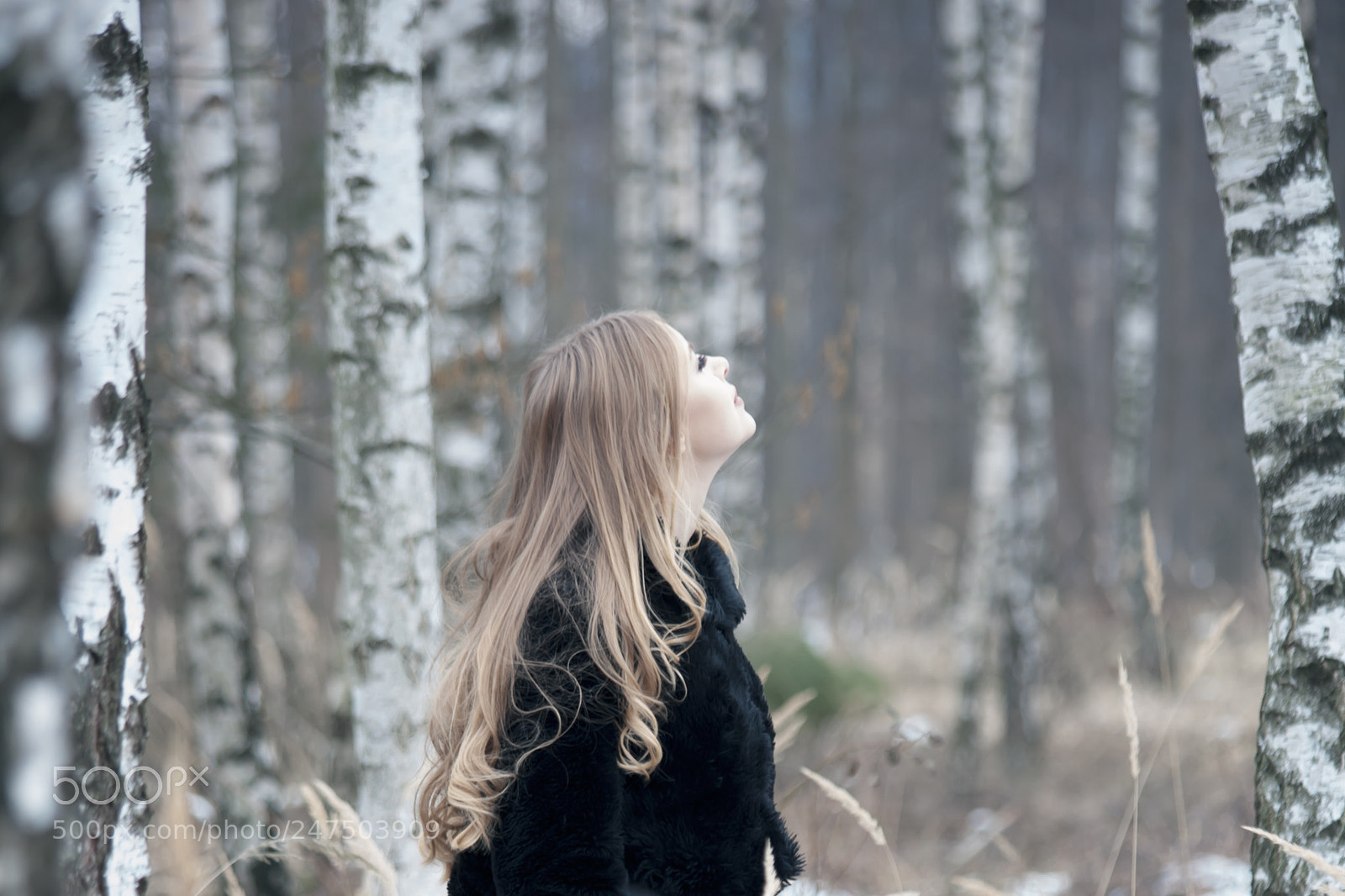 Canon EOS 5D sample photo. * photography