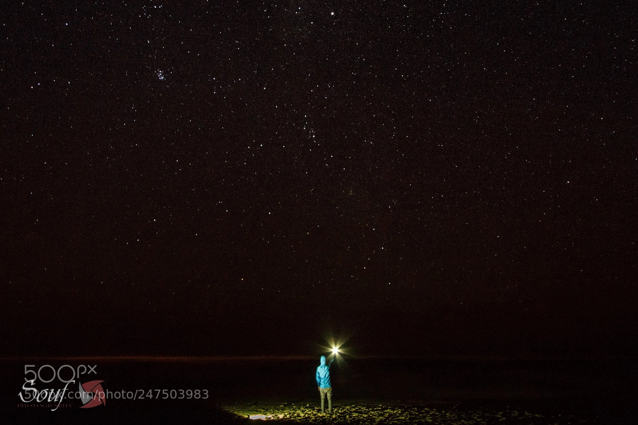 Canon EOS 7D sample photo. Grab your star photography