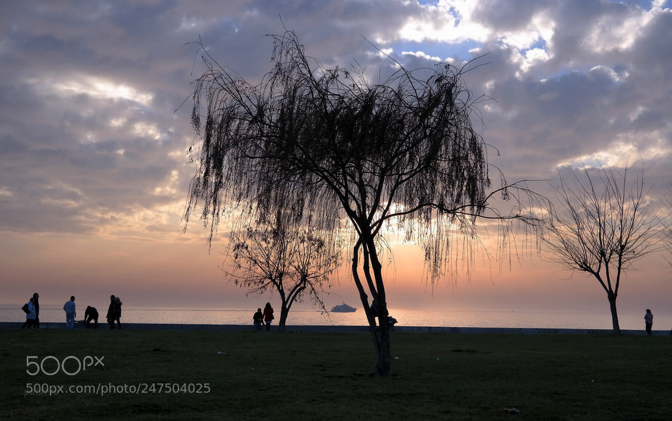 Samsung NX300 sample photo. ... photography