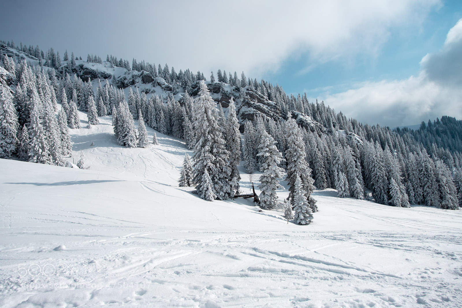 Canon EOS 6D Mark II sample photo. Frozen photography