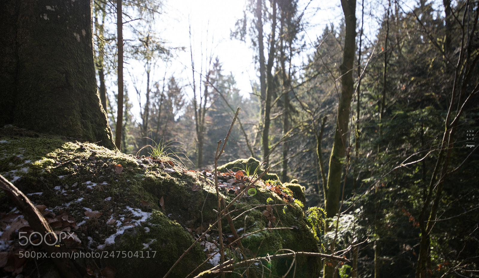 Canon EOS 6D Mark II sample photo. Behind our imagination photography