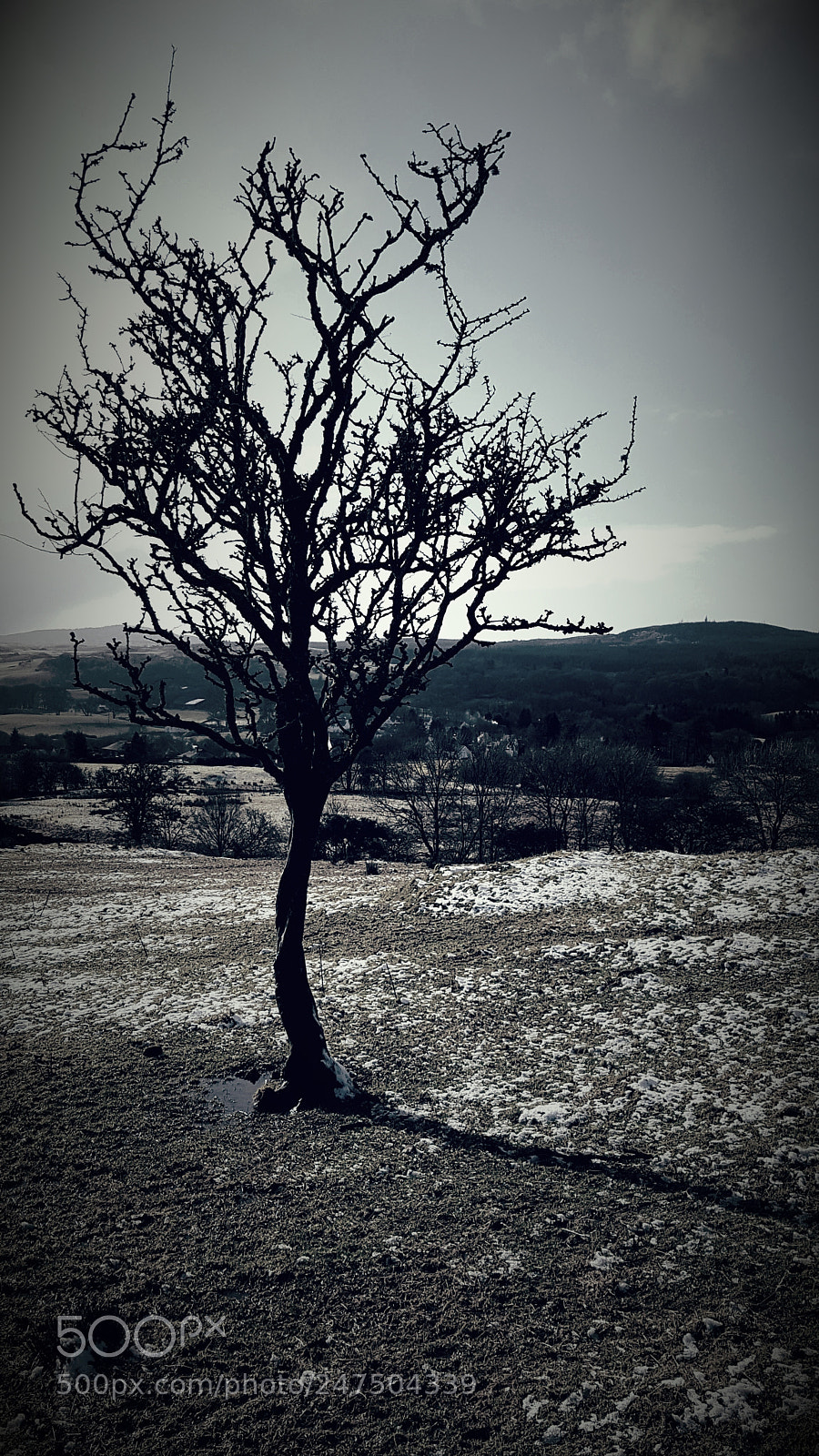 Samsung Galaxy S6 sample photo. Standing alone ... photography