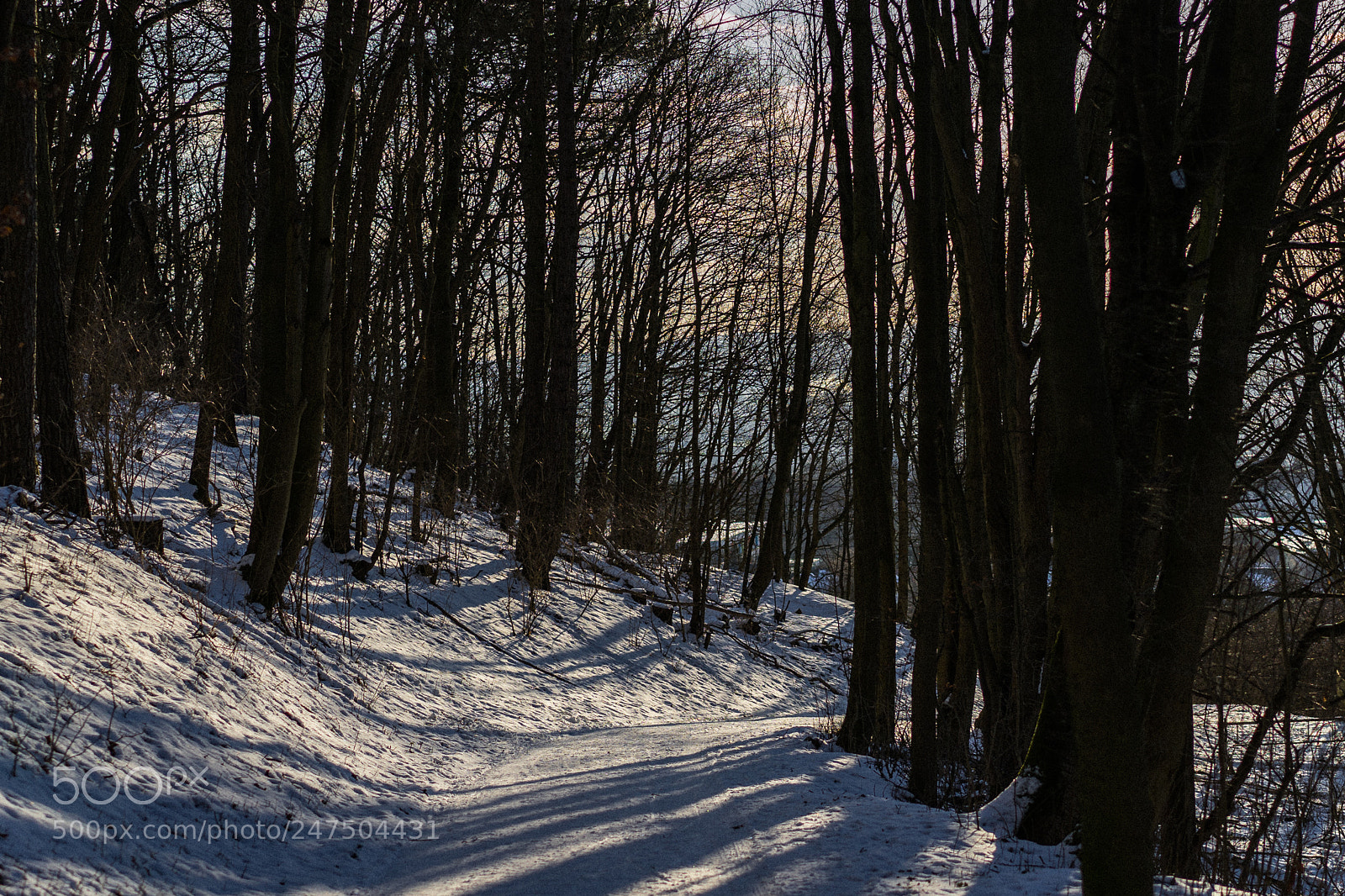 Sony a7 II sample photo. Eiskalter febrrartag. photography