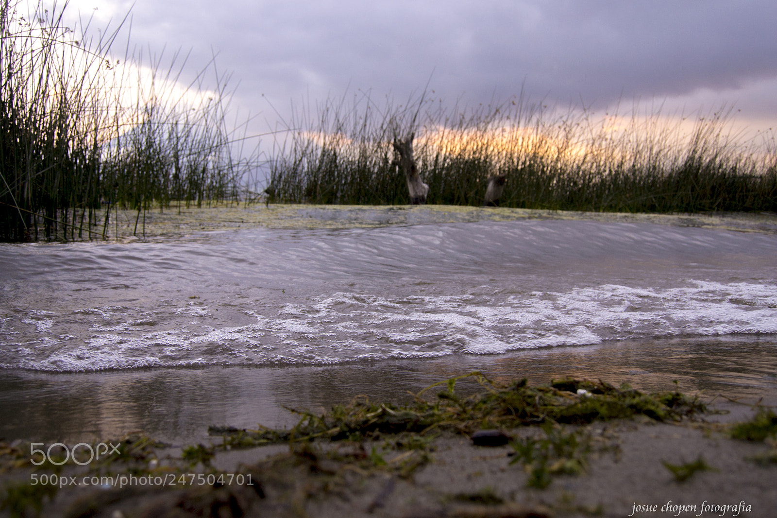 Nikon D3100 sample photo. Untitled photography