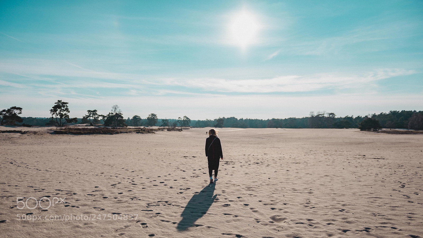 Nikon D600 sample photo. Soesterduinen photography