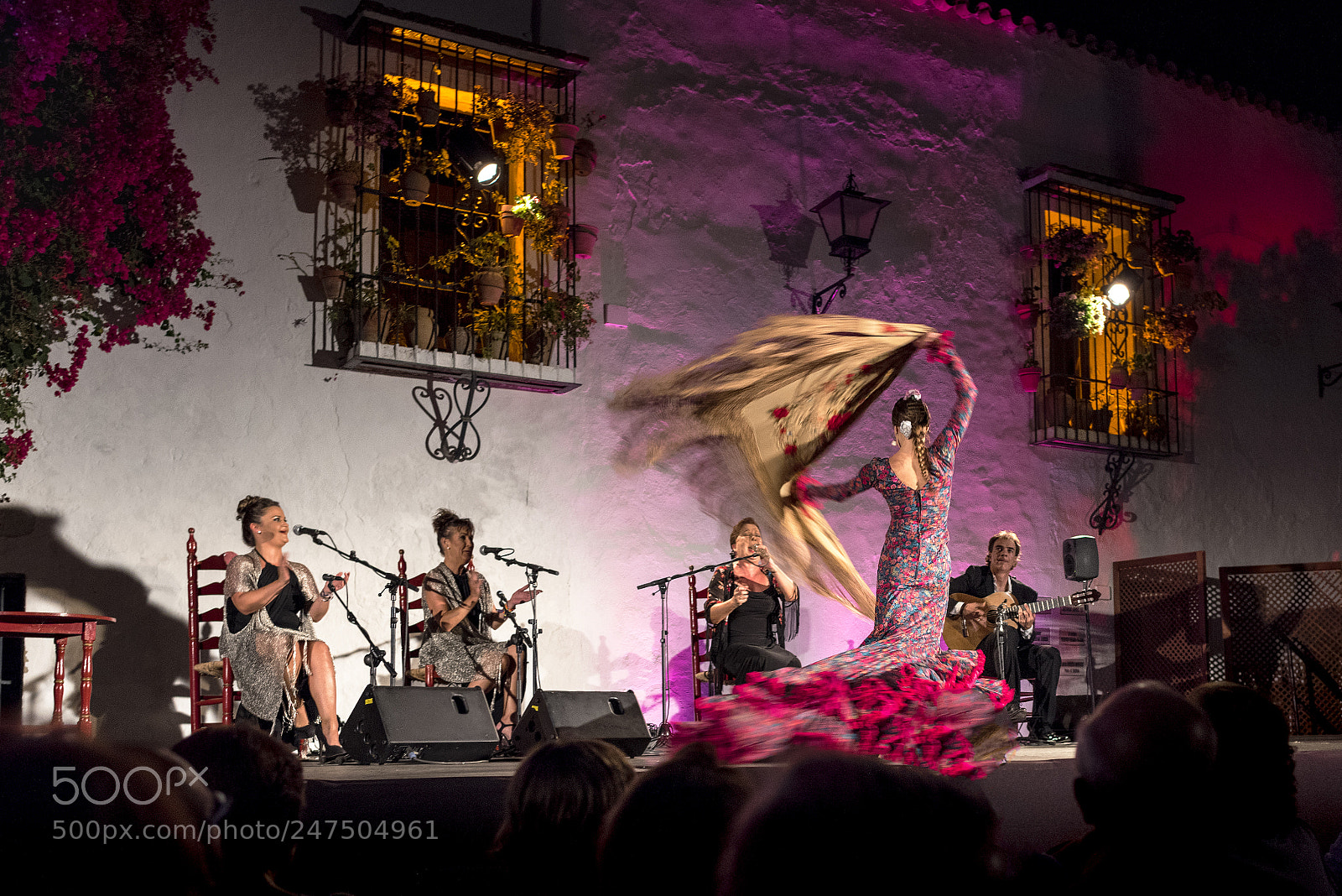 Nikon D810 sample photo. Bailaora photography