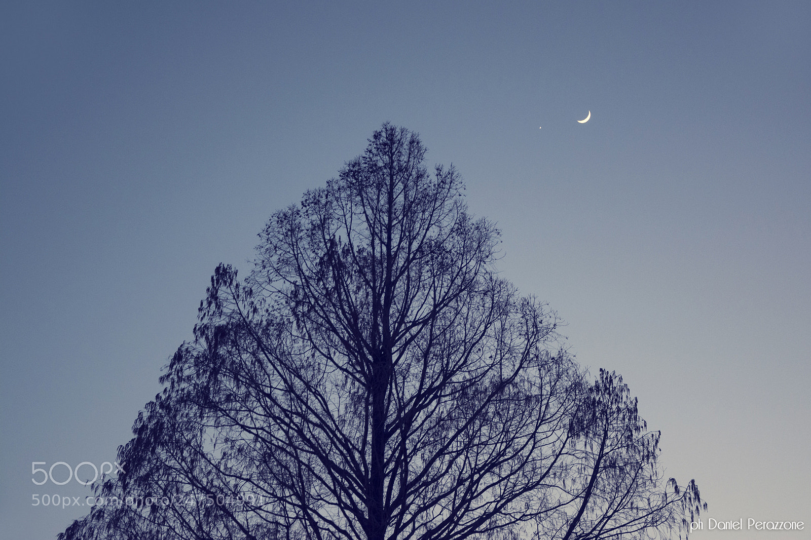 Nikon D7100 sample photo. In this little piece photography