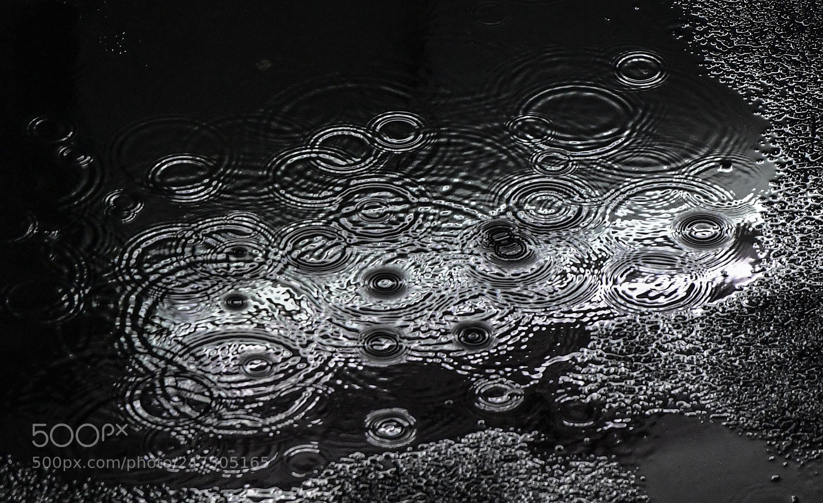 Nikon D850 sample photo. Eyes of water photography