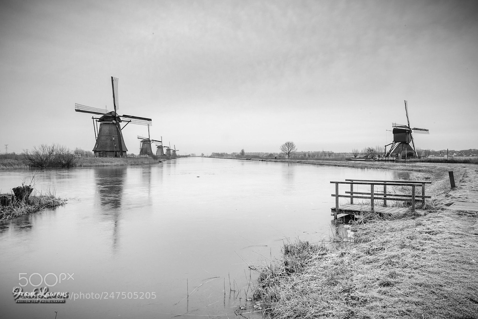 Nikon D800 sample photo. World heritage, kinderdijk photography