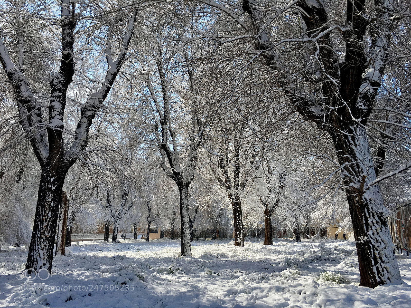 Apple iPhone 6s sample photo. Neve a roma 26/2/2018 photography