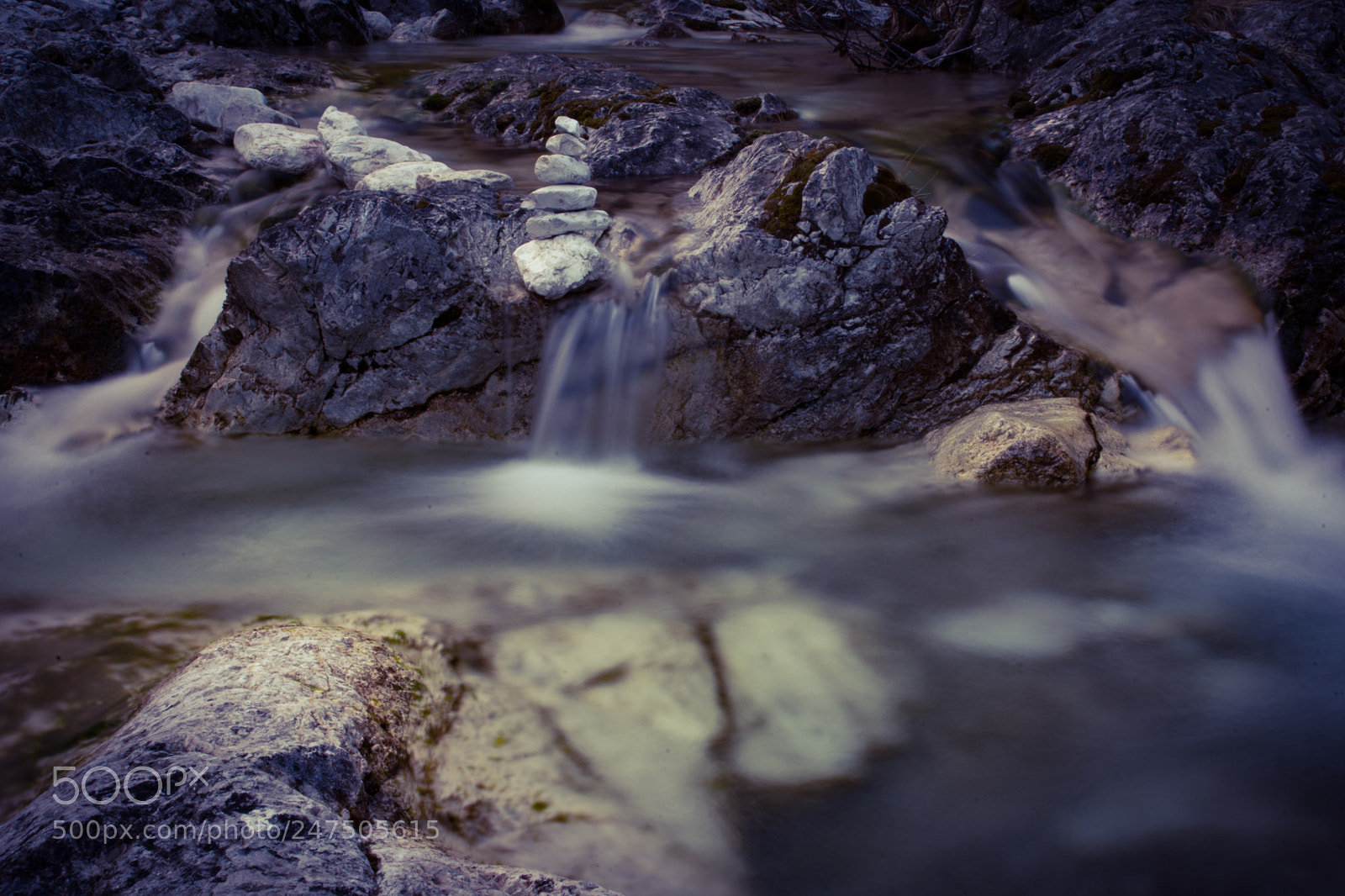 Nikon D7200 sample photo. Untitled photography