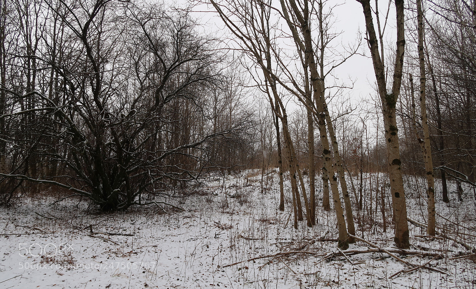 Canon PowerShot G7 X Mark II sample photo. The day after yesterday photography