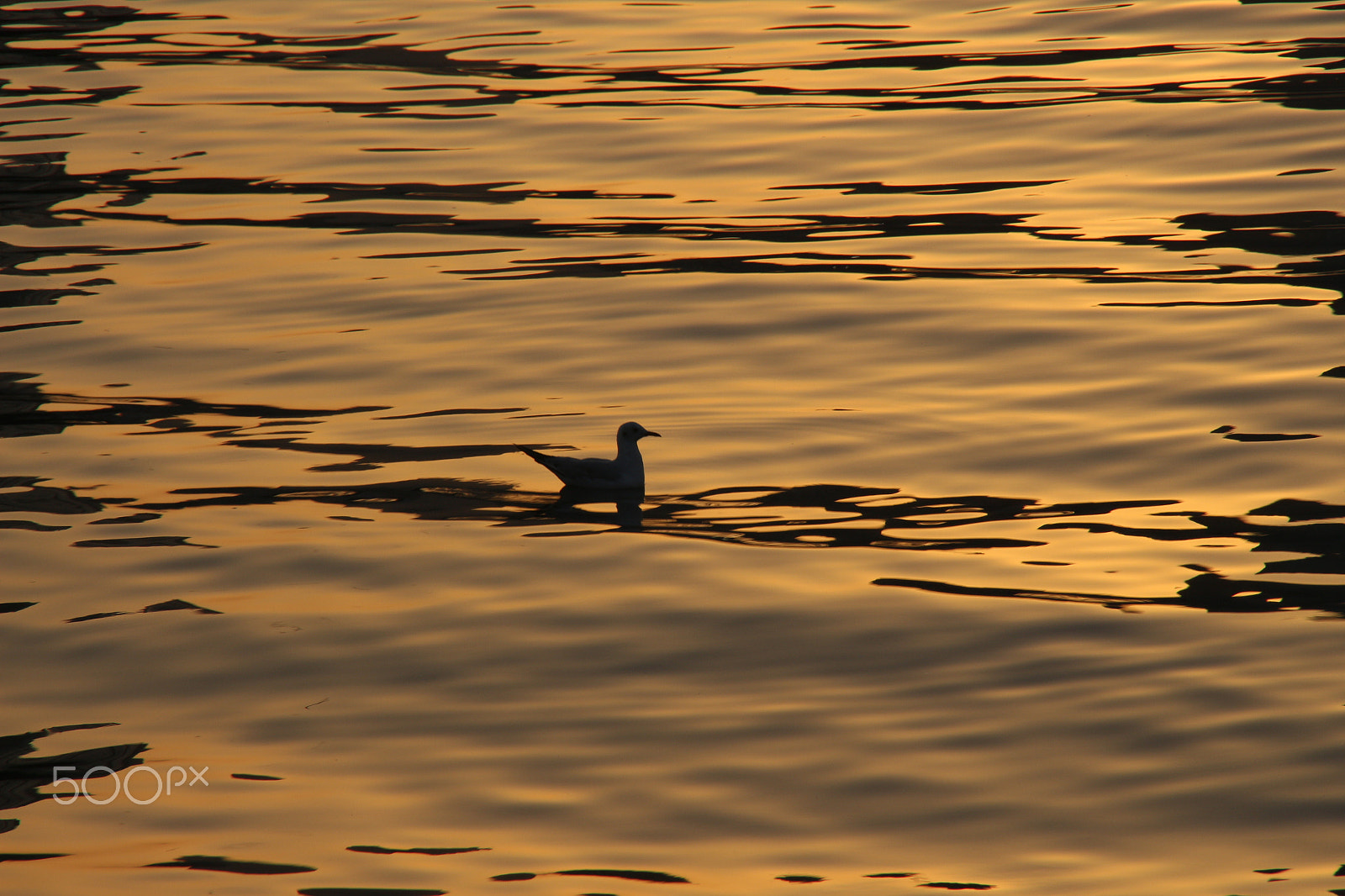 Canon EOS 700D (EOS Rebel T5i / EOS Kiss X7i) sample photo. Sunset photography