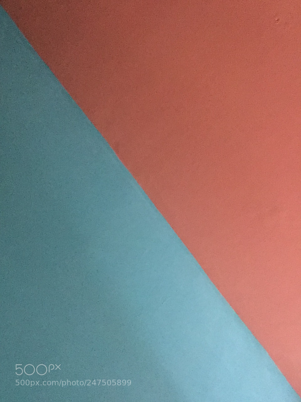 Apple iPhone 6 sample photo. Paint photography