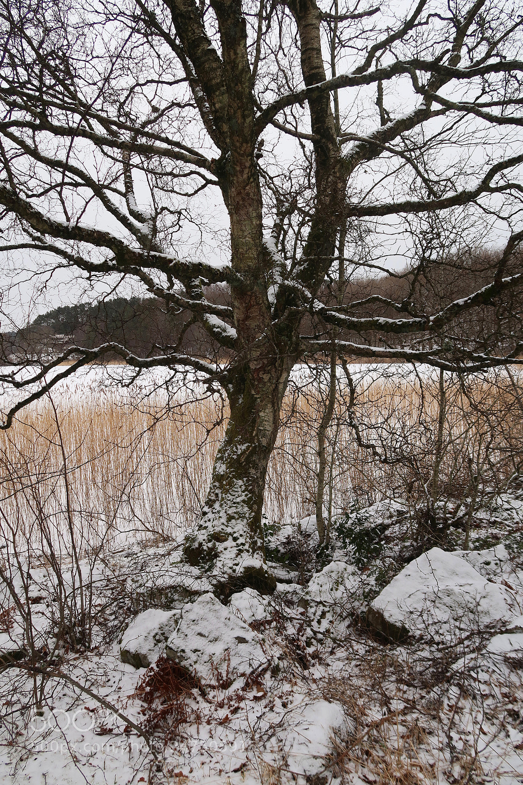 Canon PowerShot G7 X Mark II sample photo. The day after yesterday photography