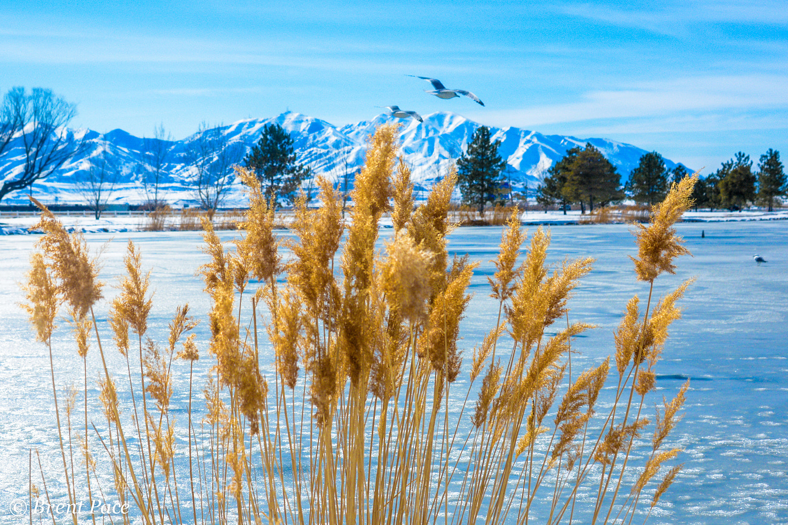 Nikon D7100 sample photo. The oquirrh mountains in photography