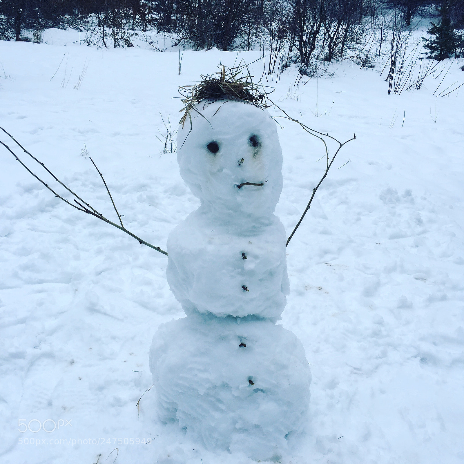 Apple iPhone 6 sample photo. Snow photography