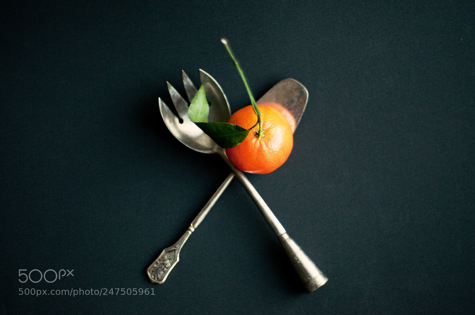 Nikon D300S sample photo. Golden mandarin orange photography