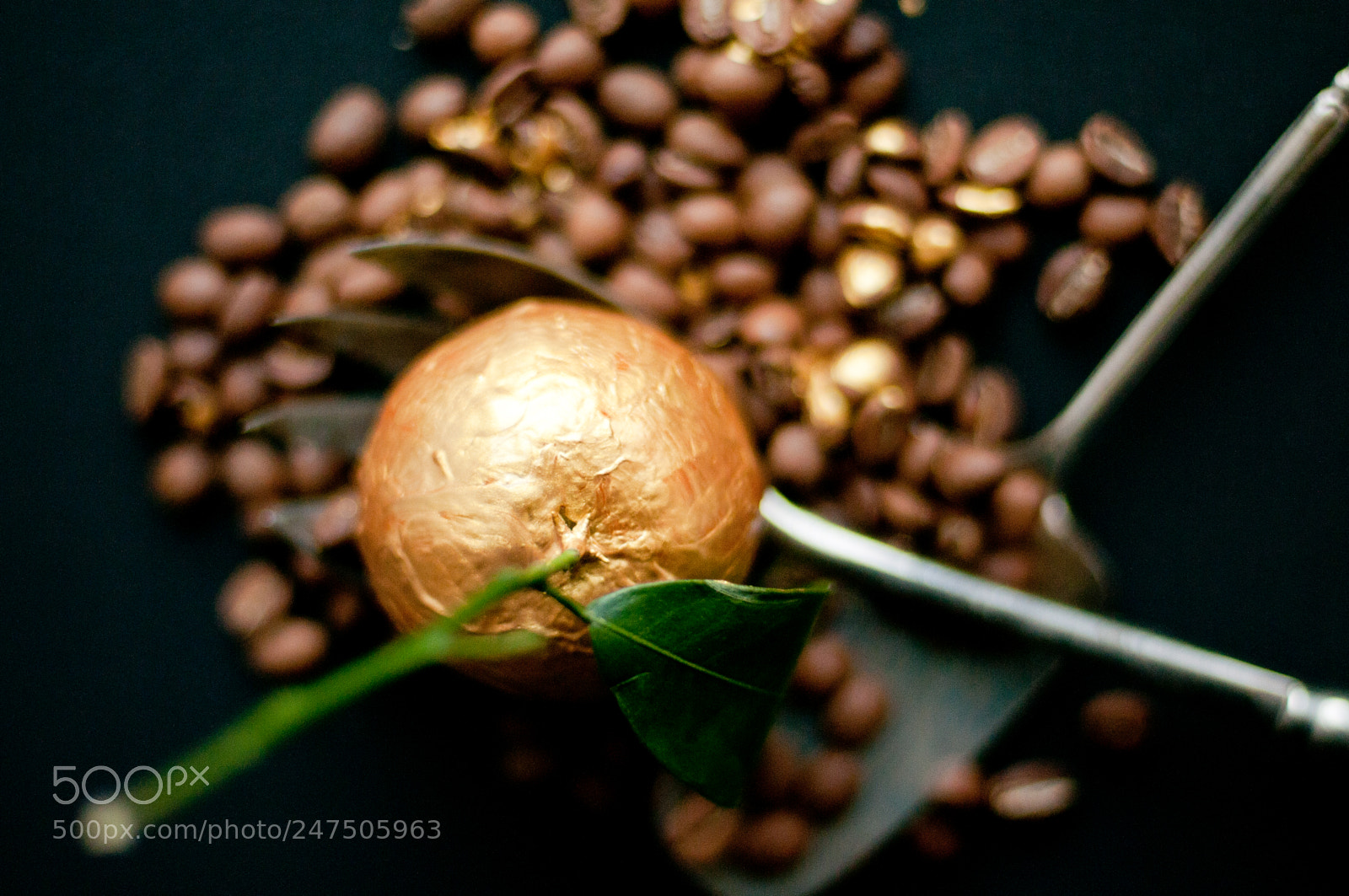 Nikon D300S sample photo. Golden mandarin orange photography
