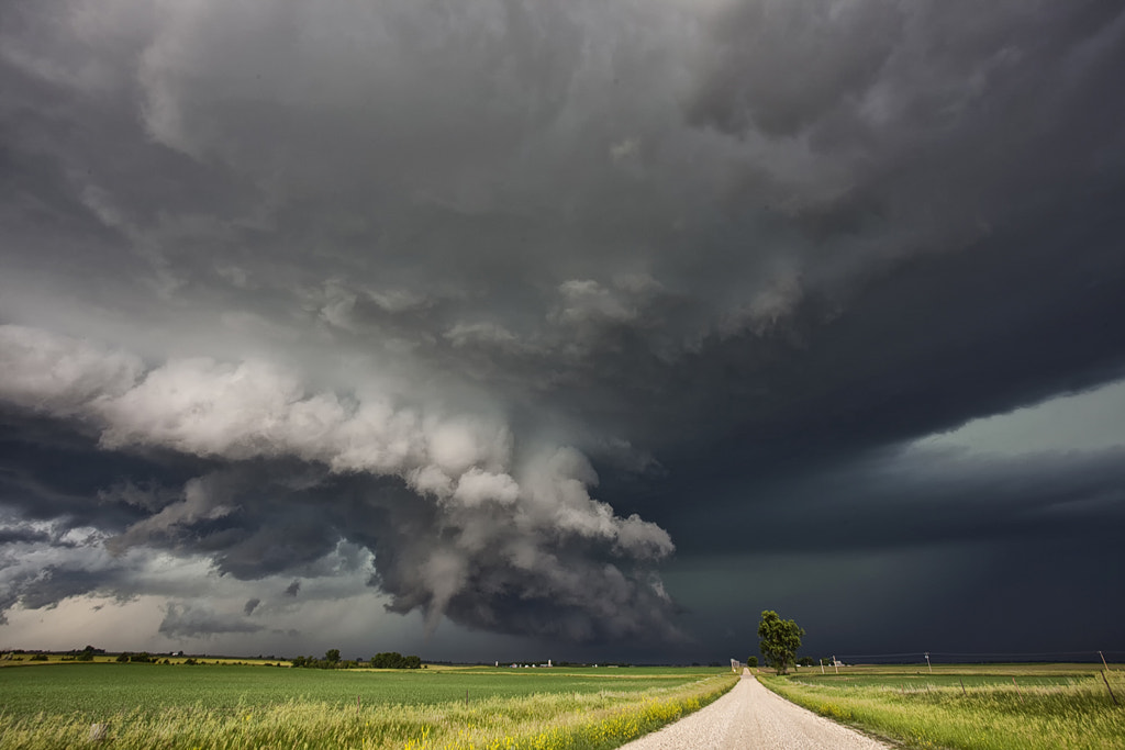 Dangerous Contrast by Roger Hill on 500px.com