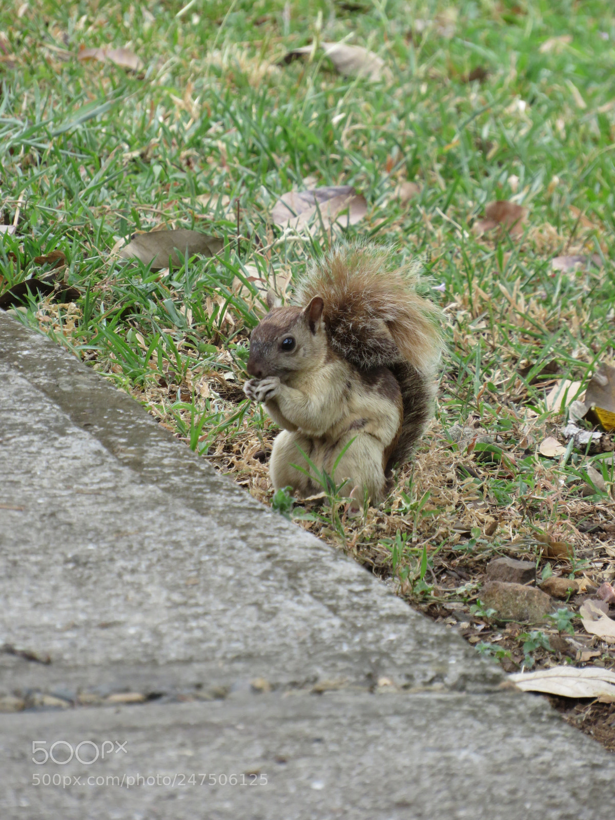 Canon PowerShot SX540 HS sample photo. The waiting.. photography
