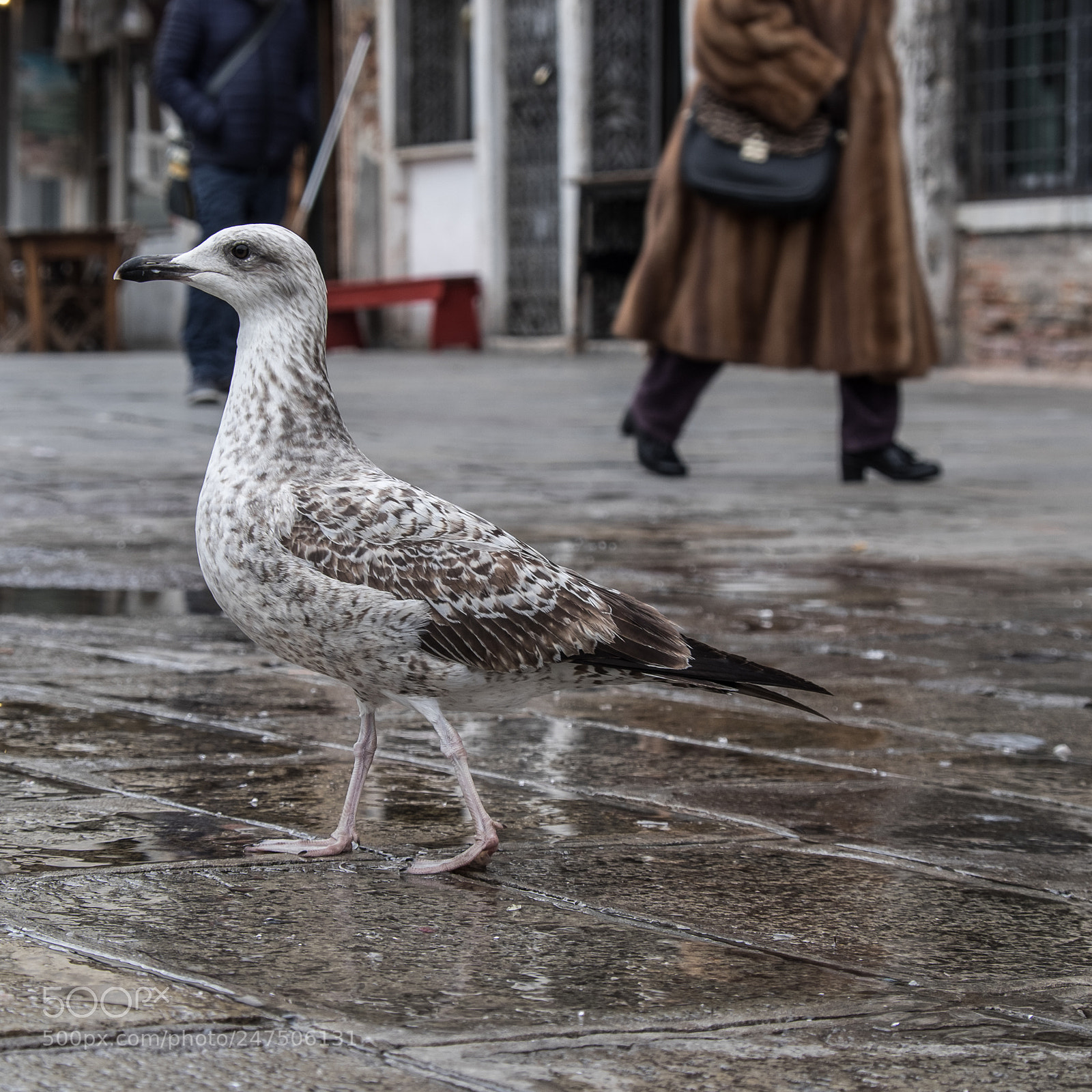 Fujifilm X-T1 sample photo. Walking photography