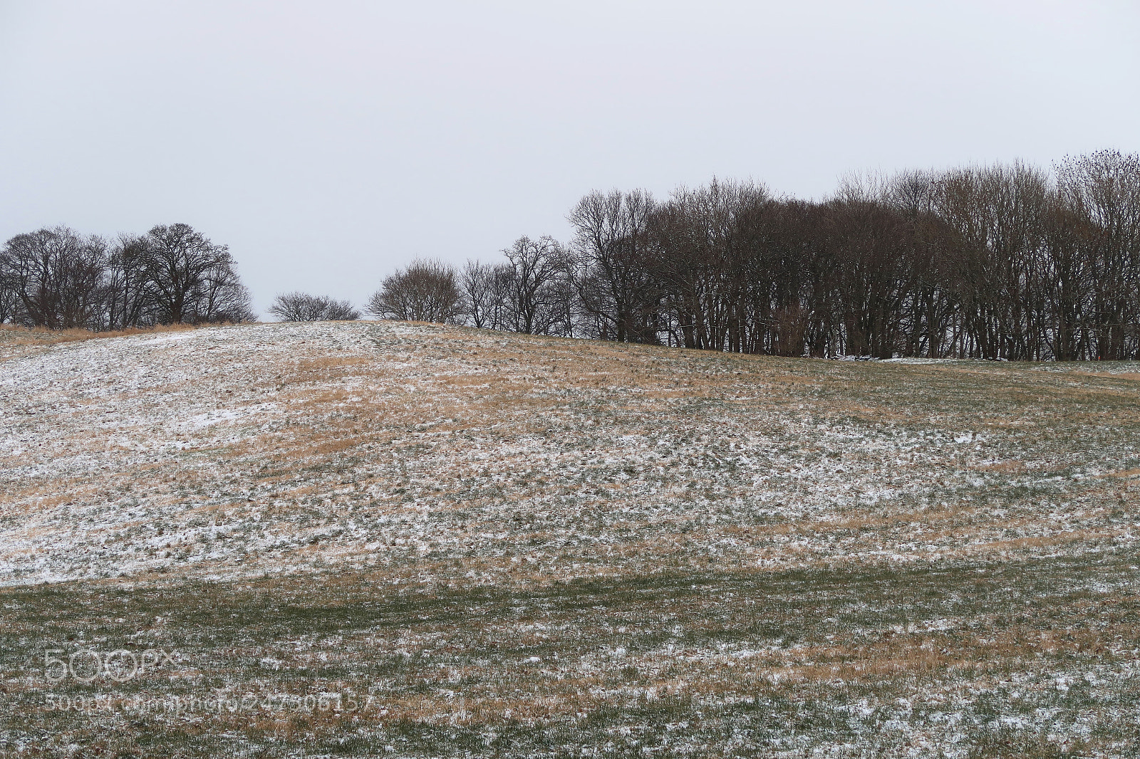 Canon PowerShot G7 X Mark II sample photo. The day after yesterday photography