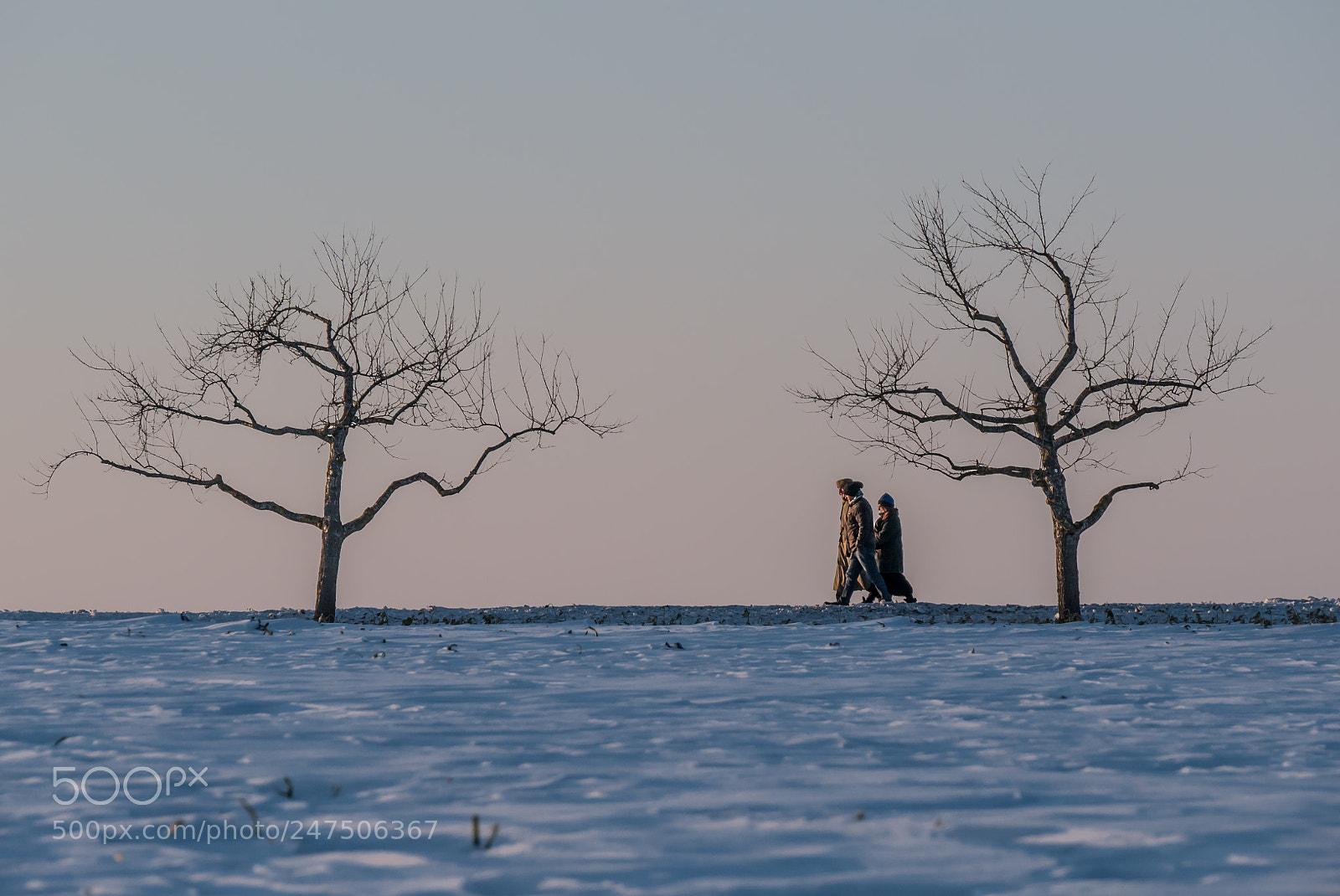 Panasonic DMC-G70 sample photo. A winter walk photography