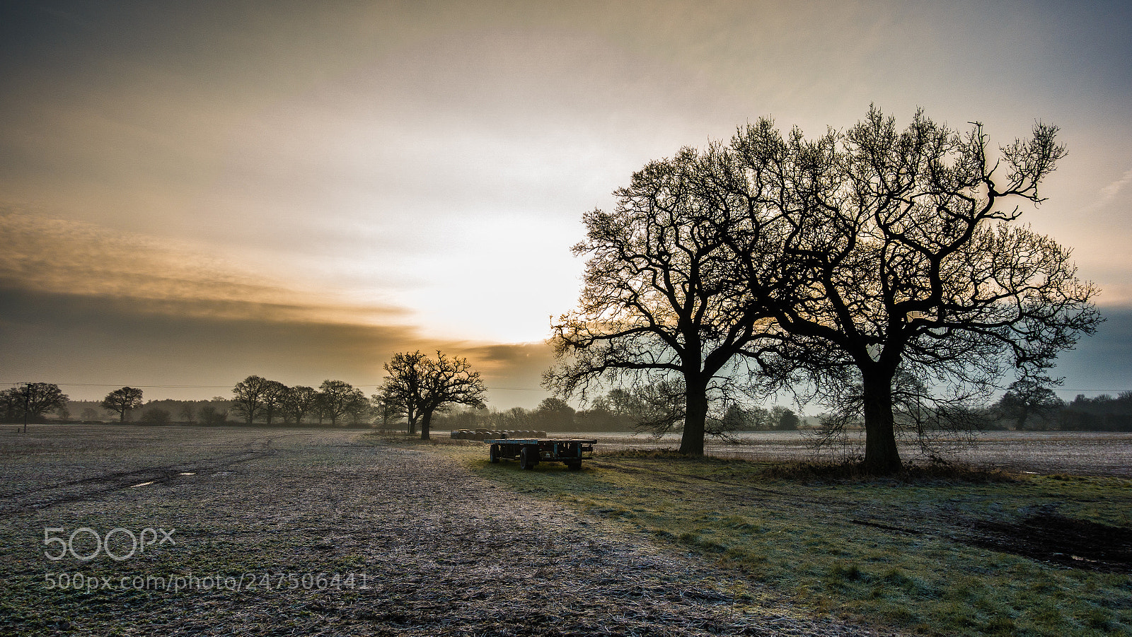 Sony DSC-RX100M5 sample photo. Frosty field photography