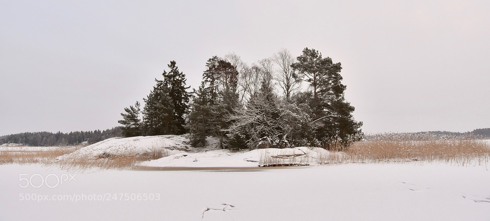 Nikon D7200 sample photo. Island photography