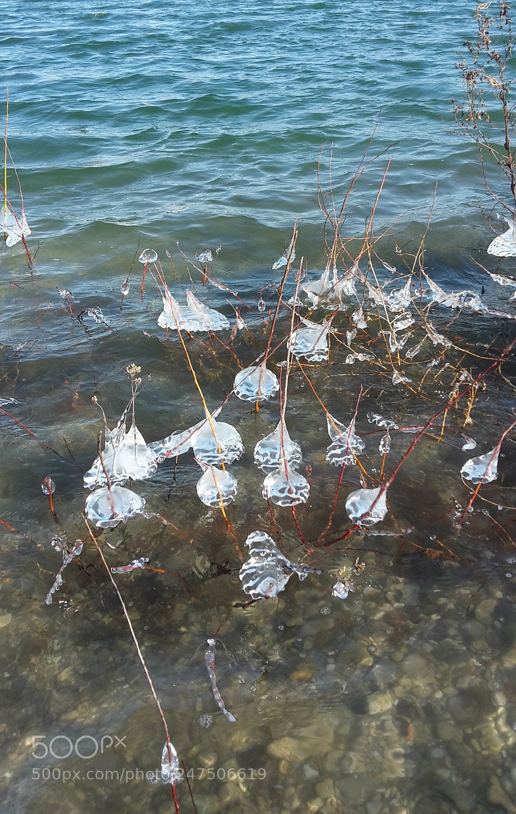 Samsung Galaxy S5 Mini sample photo. Ice crystal balls photography