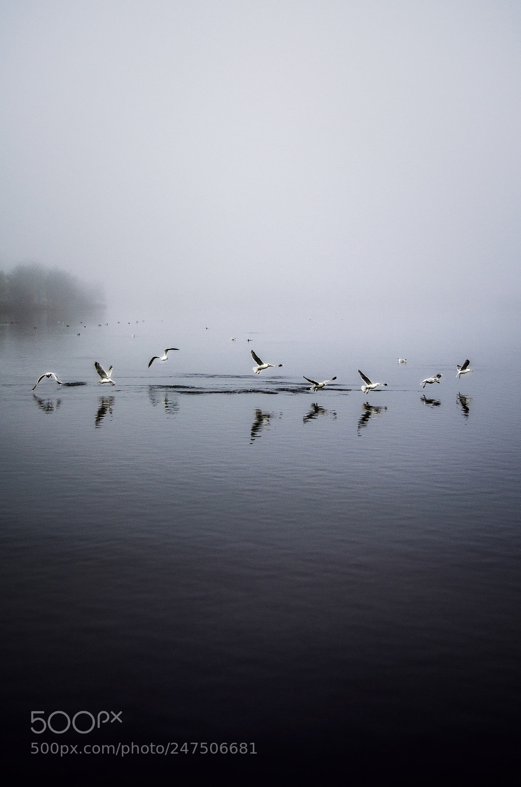 Nikon D5100 sample photo. Infinity lake photography