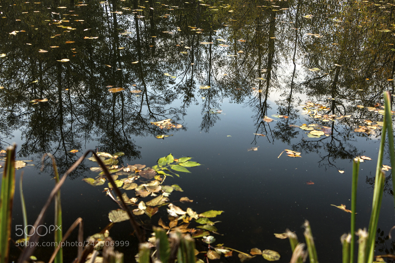 Canon EOS 700D (EOS Rebel T5i / EOS Kiss X7i) sample photo. Autumn reflections photography