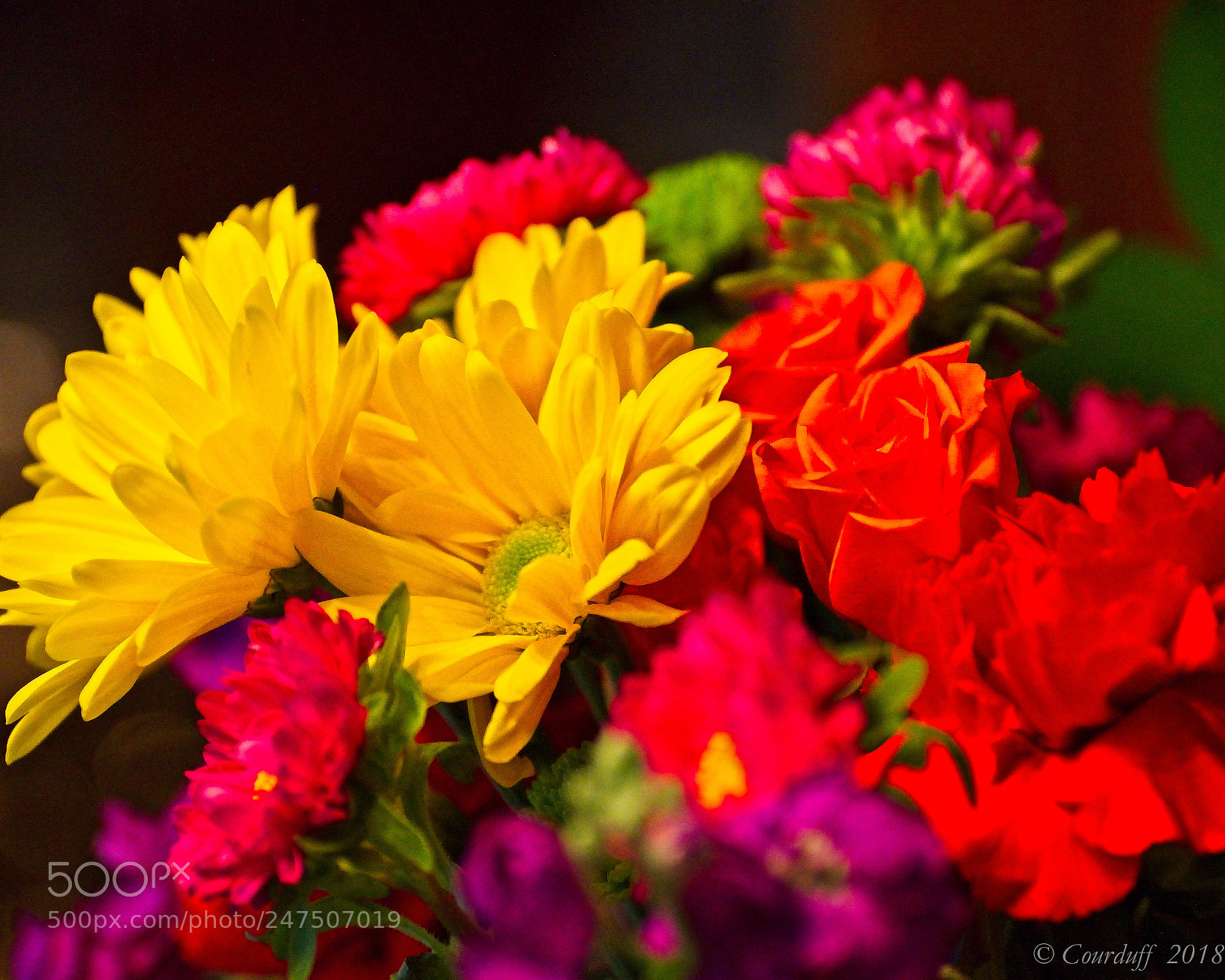 Nikon D7500 sample photo. Amc photography