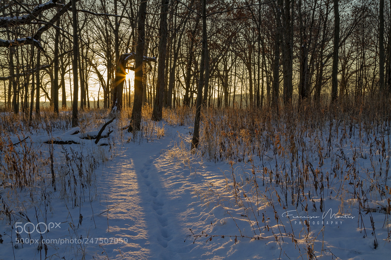 Canon EOS 7D sample photo. Following the footprints photography