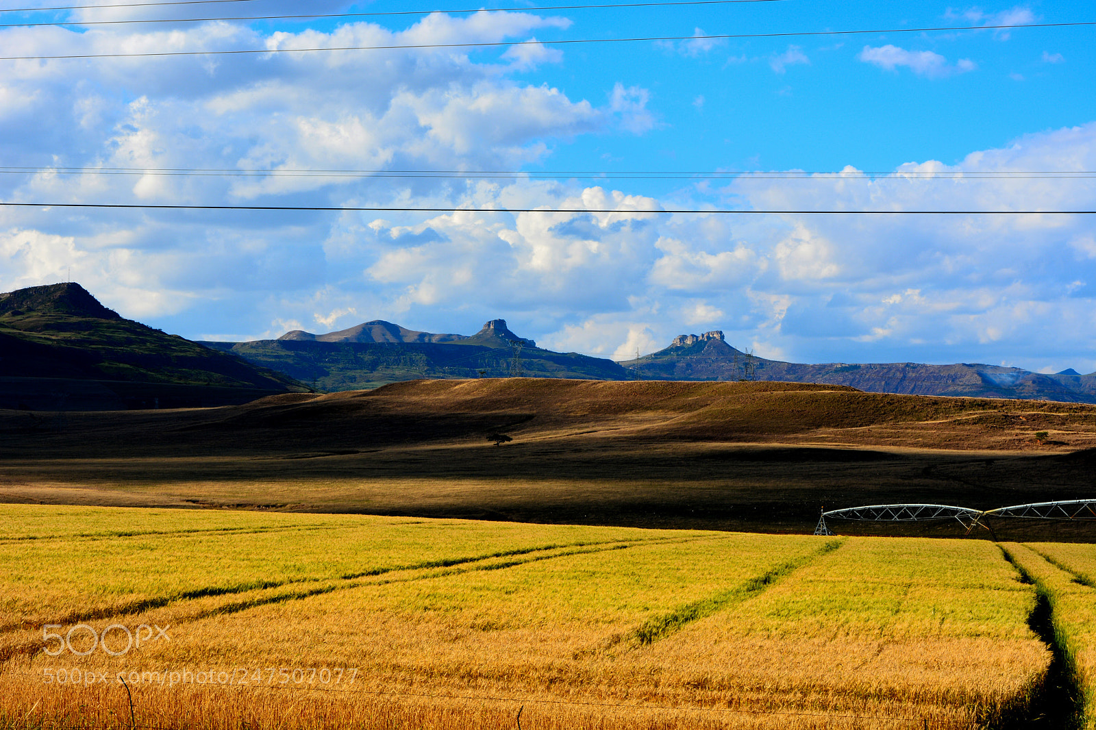Nikon D7100 sample photo. Kwazulu-natal photography