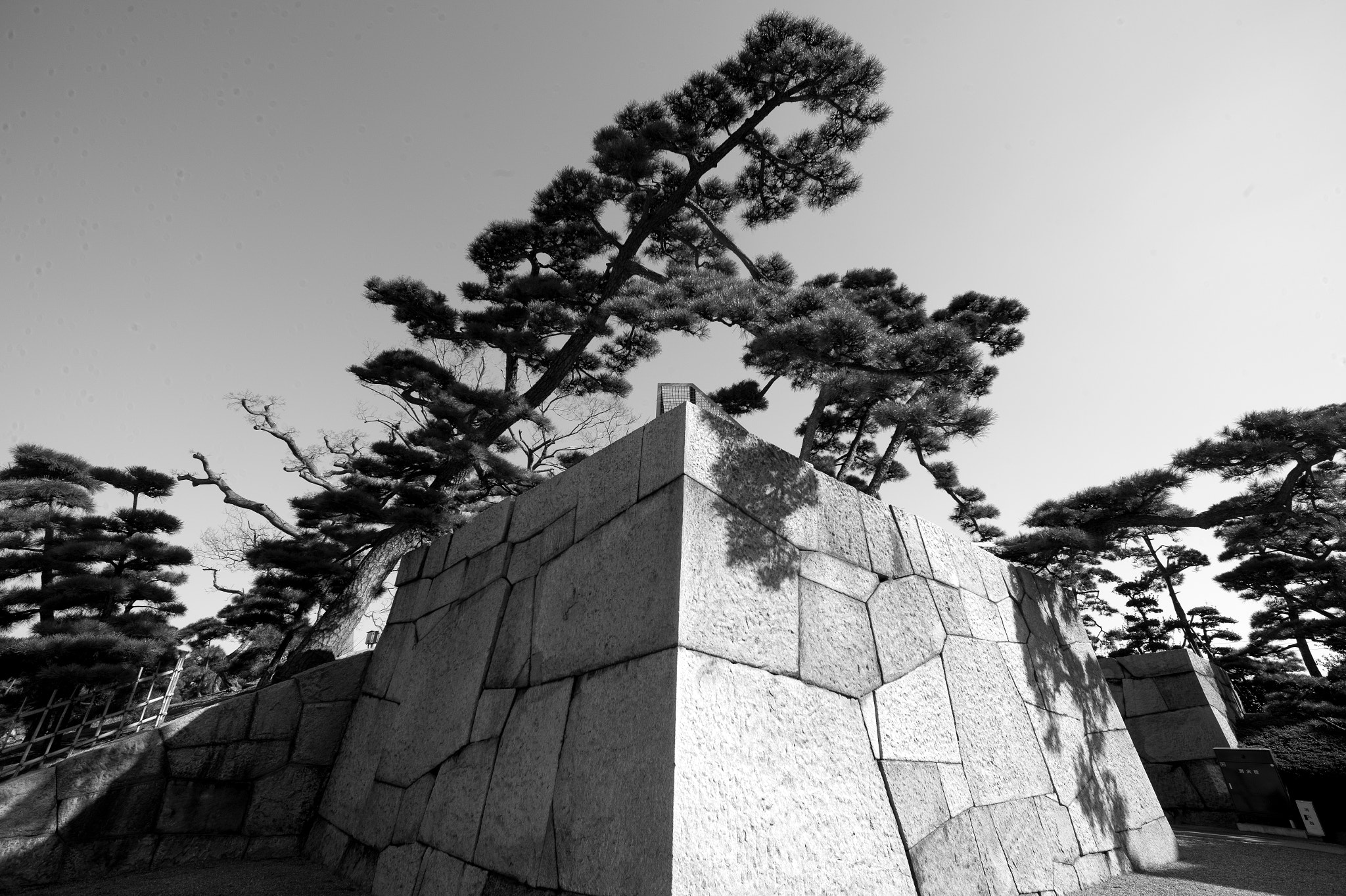 Leica M-Monochrom sample photo. L1048689_1.jpg photography