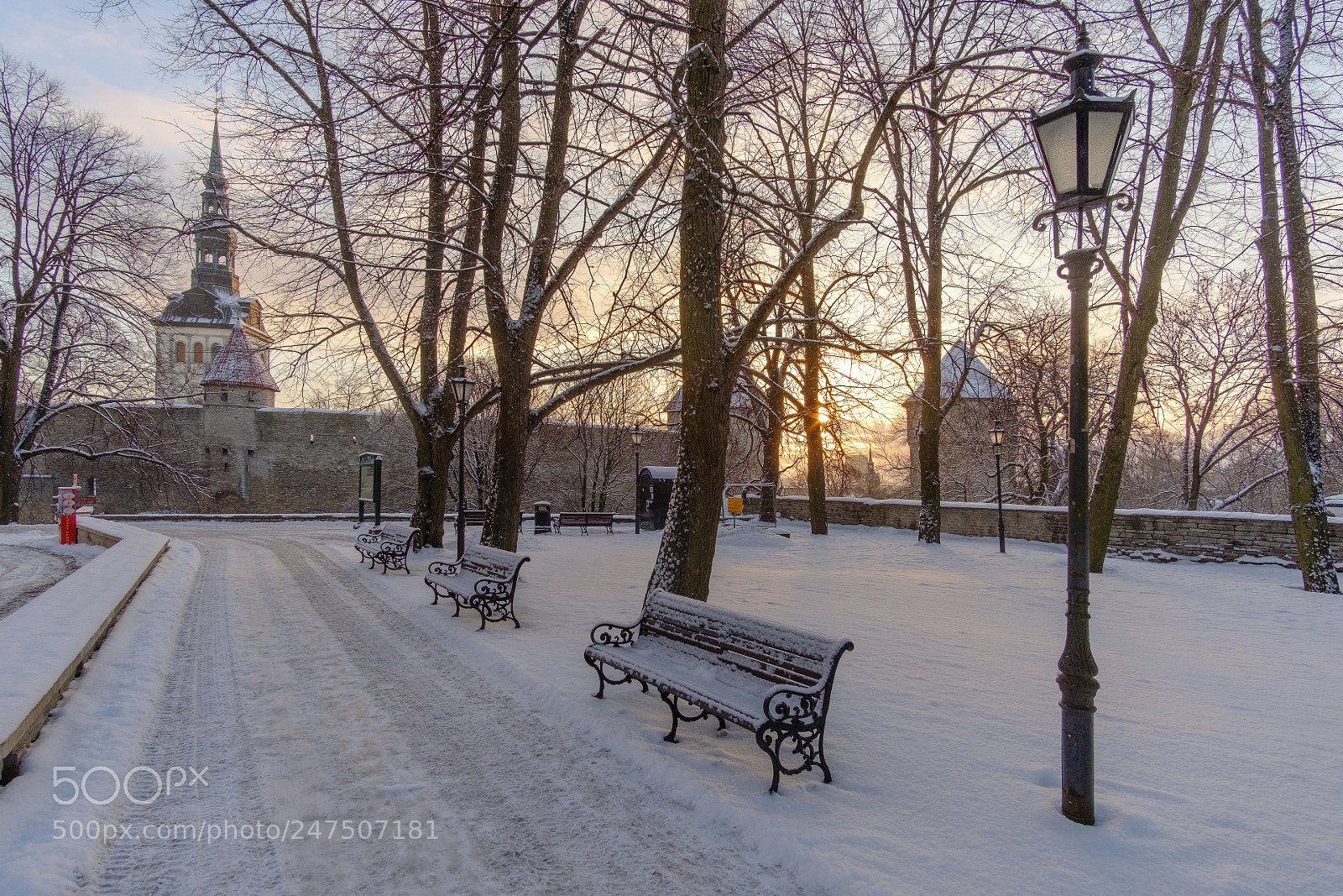 Fujifilm X-T20 sample photo. Winter morning ii photography