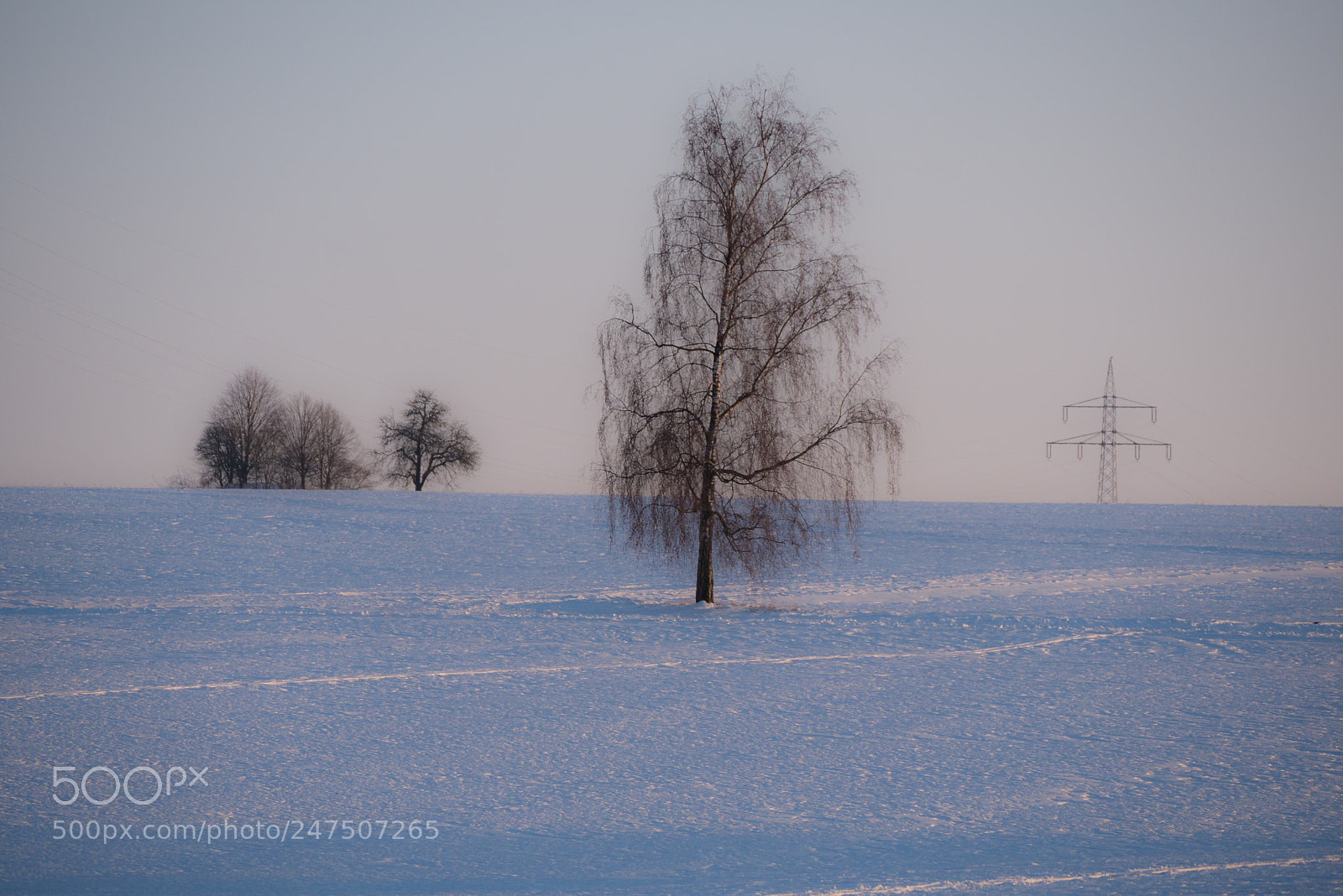 Panasonic DMC-G70 sample photo. The magic of winter photography