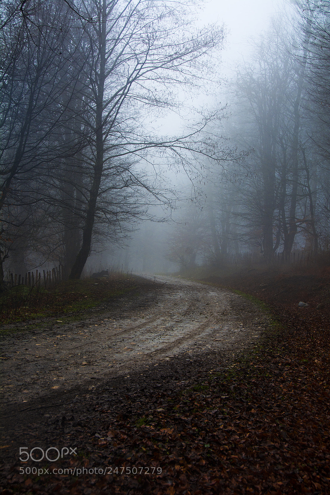 Nikon D7100 sample photo. Untitled photography