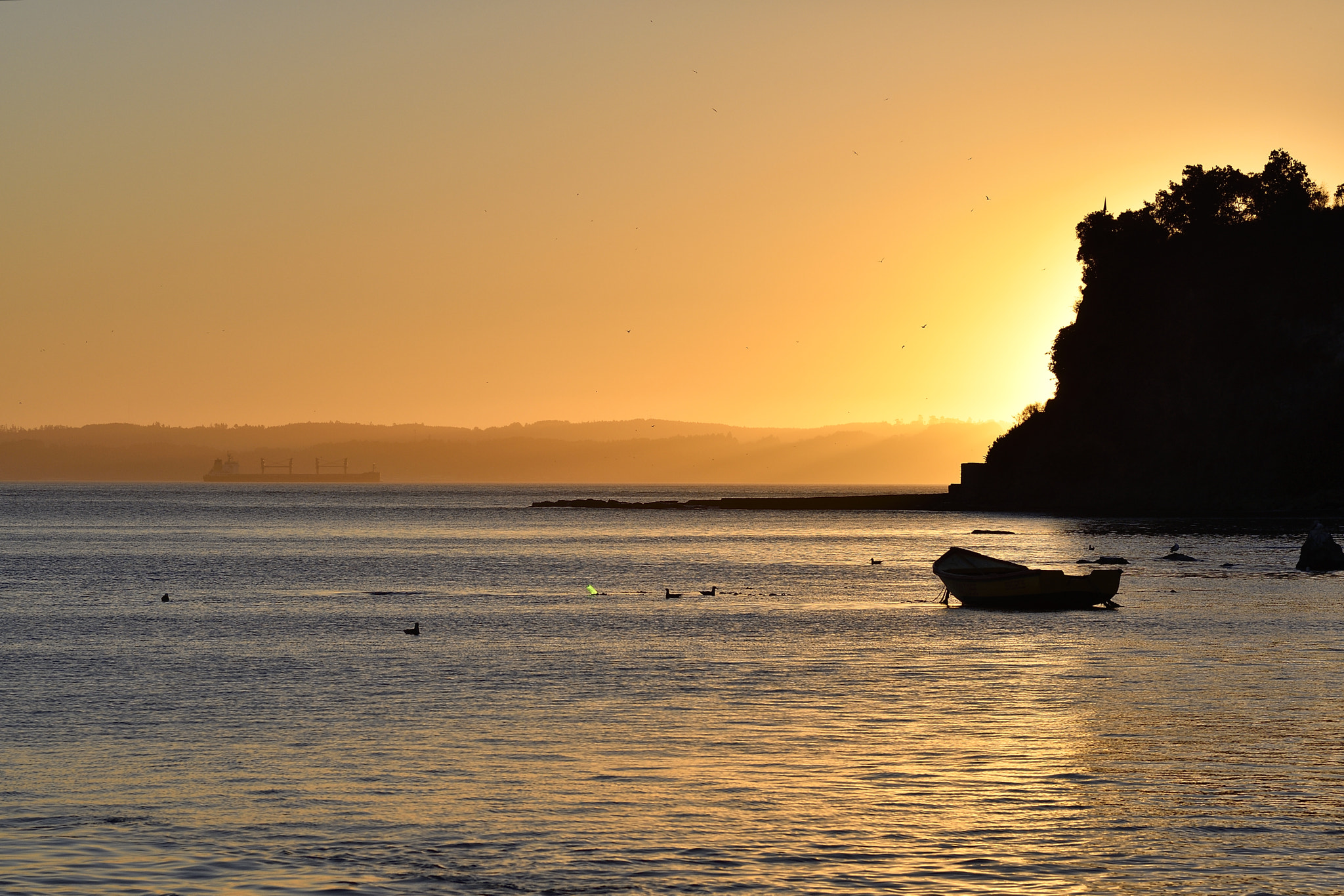 Nikon D500 + Nikon AF-S Nikkor 85mm F1.8G sample photo. Contrast in the bay photography