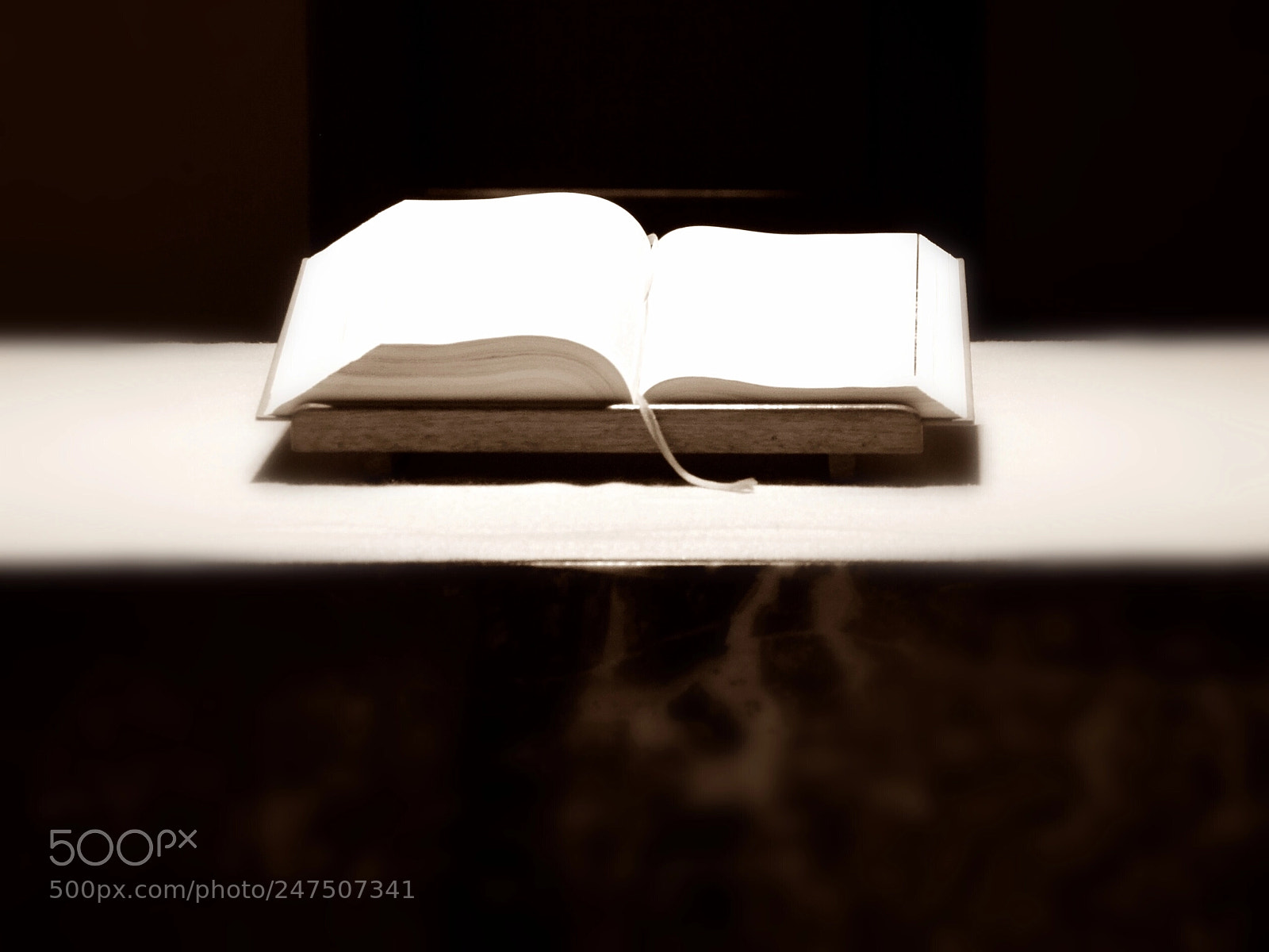 Nikon D5100 sample photo. Wisdom photography