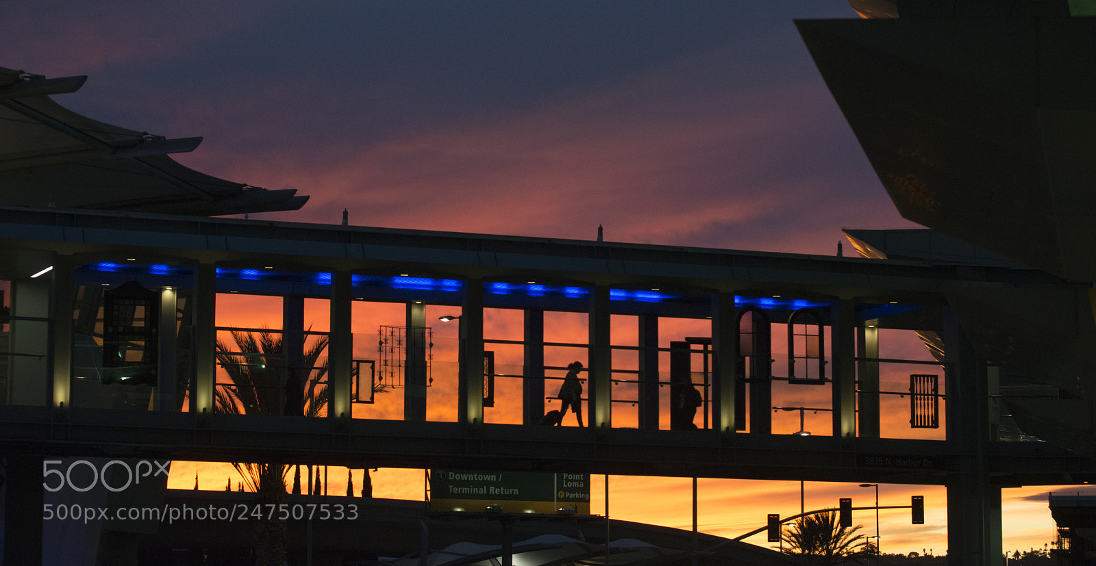 Nikon D800 sample photo. Skybridge at sunset photography