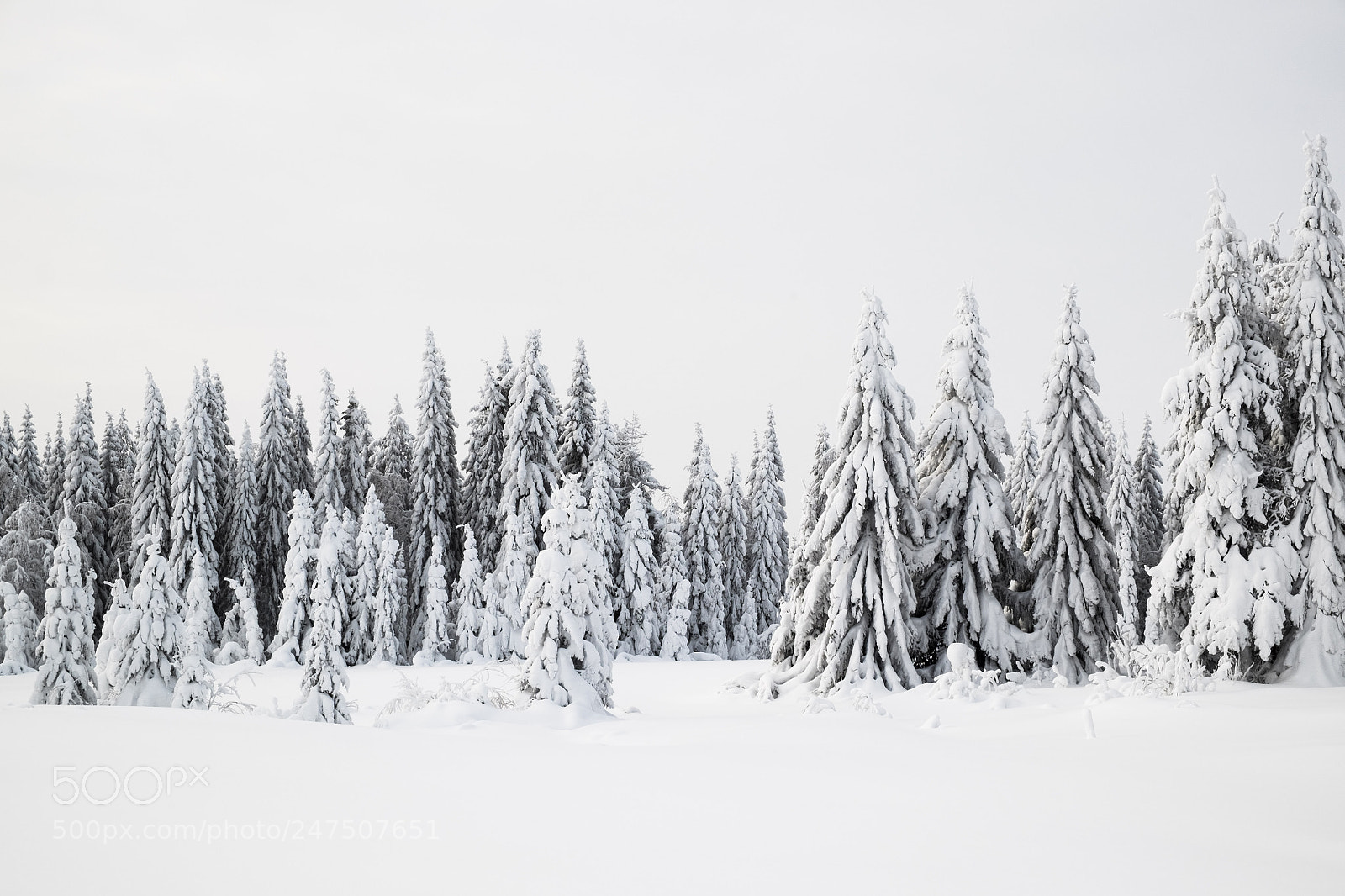 Fujifilm X-T1 sample photo. Winter in blåbergsliden photography