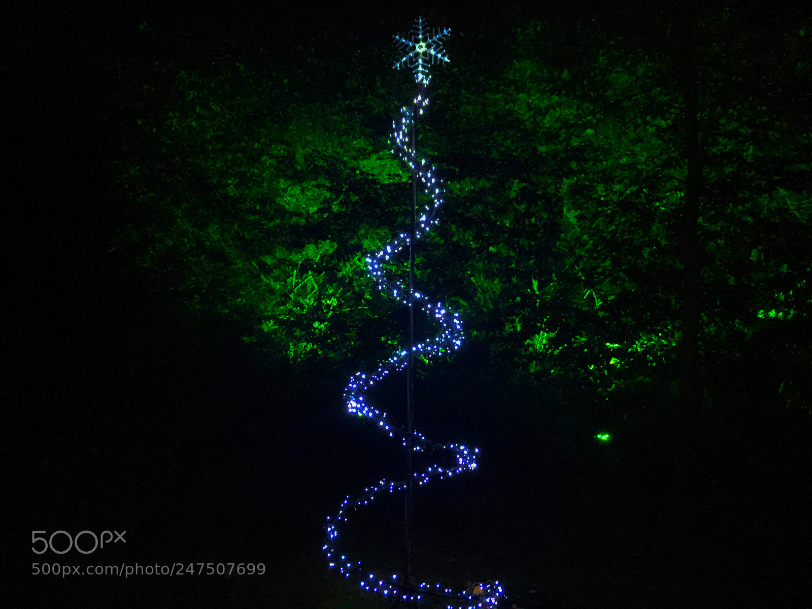 Apple iPad Pro sample photo. Simple christmas tree photography